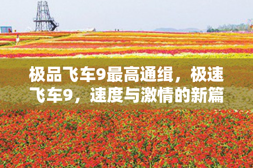 极品飞车9最高通缉，极速飞车9，速度与激情的新篇章