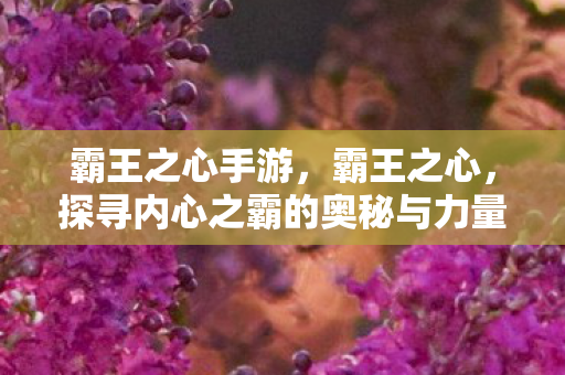 霸王之心手游，霸王之心，探寻内心之霸的奥秘与力量