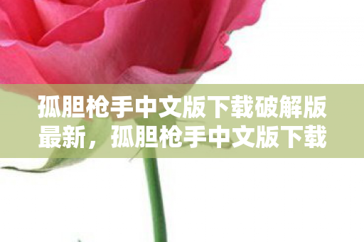 孤胆枪手中文版下载破解版最新，孤胆枪手中文版下载攻略及游戏介绍