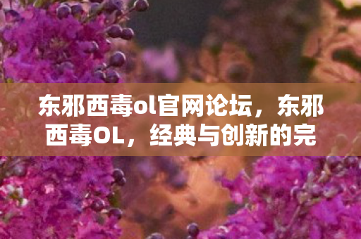 东邪西毒ol官网论坛，东邪西毒OL，经典与创新的完美结合
