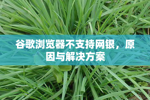 谷歌浏览器不支持网银，原因与解决方案