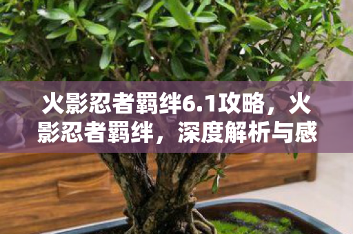 火影忍者羁绊6.1攻略，火影忍者羁绊，深度解析与感人故事（6.1版）