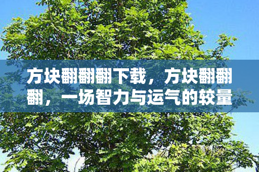 方块翻翻翻下载，方块翻翻翻，一场智力与运气的较量