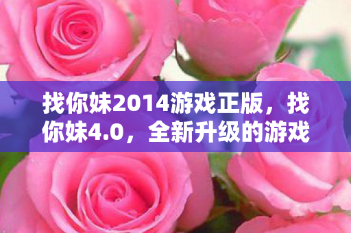 找你妹2014游戏正版，找你妹4.0，全新升级的游戏体验