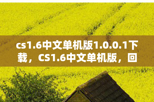 cs1.6中文单机版1.0.0.1下载，CS1.6中文单机版，回顾经典，探寻游戏魅力
