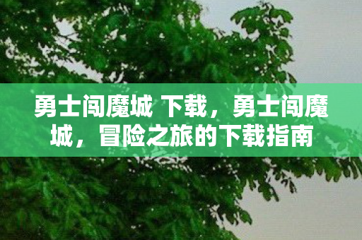 勇士闯魔城 下载，勇士闯魔城，冒险之旅的下载指南
