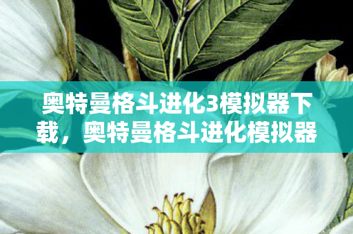 奥特曼格斗进化3模拟器下载，奥特曼格斗进化模拟器，重温经典之作—奥特曼格斗进化3模拟器体验分享