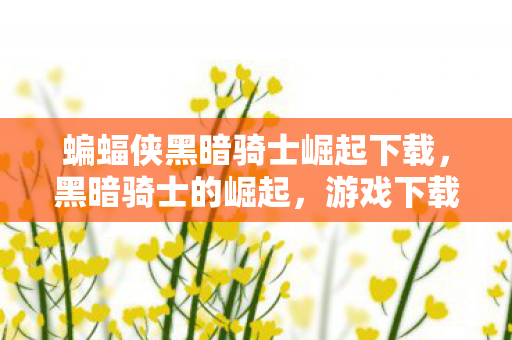 蝙蝠侠黑暗骑士崛起下载，黑暗骑士的崛起，游戏下载与体验全解析