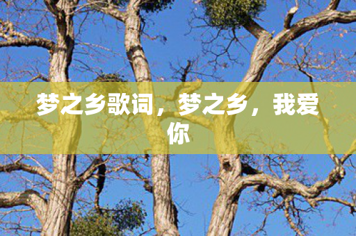 梦之乡歌词，梦之乡，我爱你