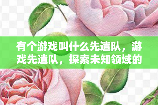 有个游戏叫什么先遣队，游戏先遣队，探索未知领域的先锋力量