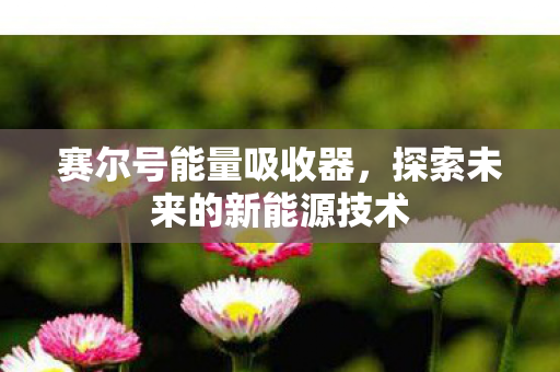 赛尔号能量吸收器，探索未来的新能源技术