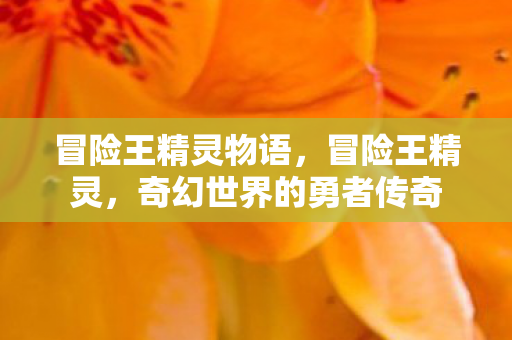 冒险王精灵物语，冒险王精灵，奇幻世界的勇者传奇