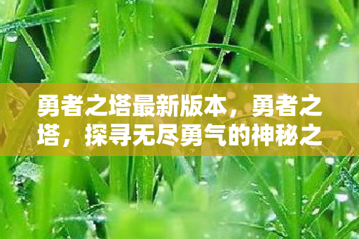 勇者之塔最新版本，勇者之塔，探寻无尽勇气的神秘之旅