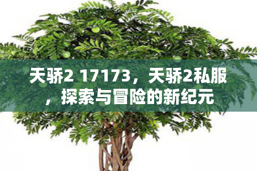 天骄2 17173，天骄2私服，探索与冒险的新纪元