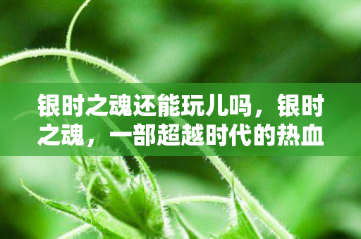 银时之魂还能玩儿吗，银时之魂，一部超越时代的热血动漫之旅