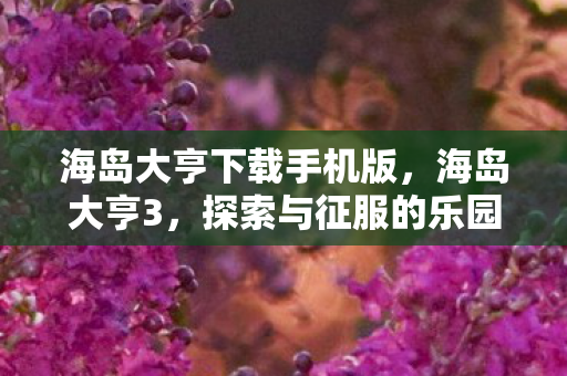 海岛大亨下载手机版，海岛大亨3，探索与征服的乐园