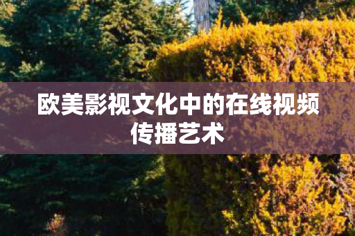 欧美影视文化中的在线视频传播艺术