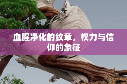 血腥净化的纹章，权力与信仰的象征