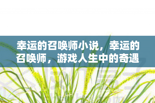 幸运的召唤师小说，幸运的召唤师，游戏人生中的奇遇与挑战