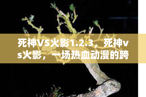 死神VS火影1.2.3，死神vs火影，一场热血动漫的跨界对决—1.2版本全新解析