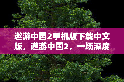 遨游中国2手机版下载中文版，遨游中国2，一场深度自驾之旅的全方位解读