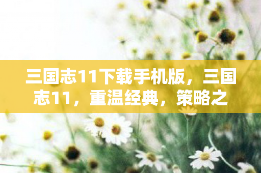 三国志11下载手机版，三国志11，重温经典，策略之战的热血下载