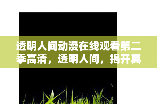 透明人间动漫在线观看第二季高清，透明人间，揭开真实世界的面纱