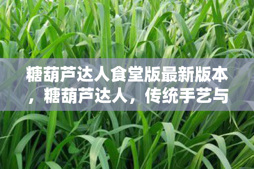 糖葫芦达人食堂版最新版本，糖葫芦达人，传统手艺与现代魅力的完美结合