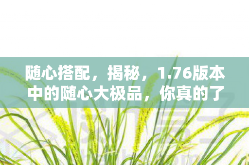 随心搭配，揭秘，1.76版本中的随心大极品，你真的了解吗？