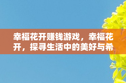 幸福花开赚钱游戏，幸福花开，探寻生活中的美好与希望