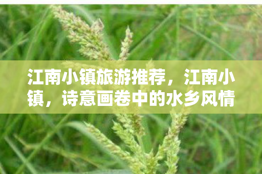 江南小镇旅游推荐，江南小镇，诗意画卷中的水乡风情