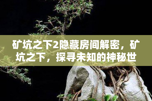 矿坑之下2隐藏房间解密，矿坑之下，探寻未知的神秘世界