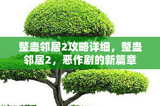 整蛊邻居2攻略详细，整蛊邻居2，恶作剧的新篇章