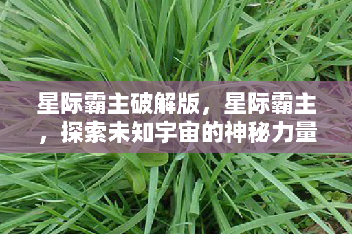 星际霸主破解版，星际霸主，探索未知宇宙的神秘力量