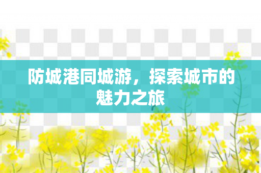 防城港同城游，探索城市的魅力之旅