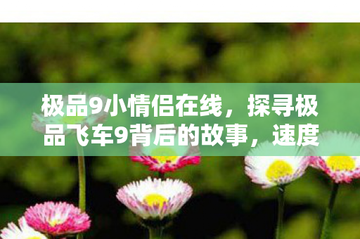 极品9小情侣在线，探寻极品飞车9背后的故事，速度与激情的不解之缘