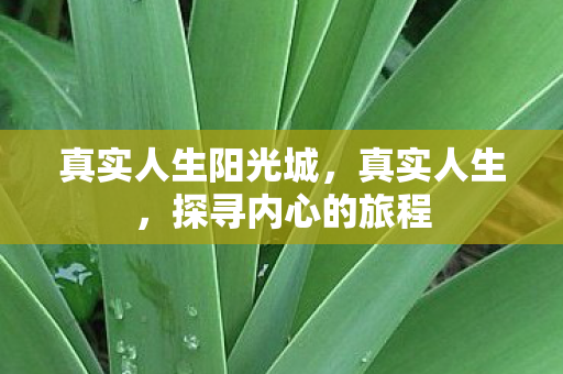 真实人生阳光城，真实人生，探寻内心的旅程