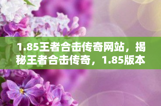 1.85王者合击传奇网站，揭秘王者合击传奇，1.85版本的独特魅力与秘密