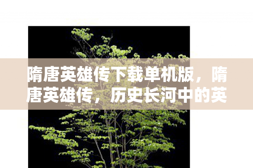 隋唐英雄传下载单机版，隋唐英雄传，历史长河中的英勇篇章