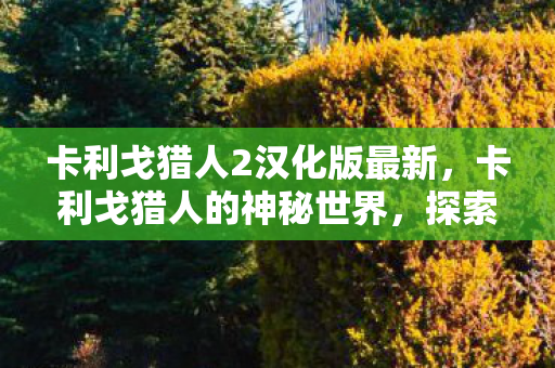 卡利戈猎人2汉化版最新，卡利戈猎人的神秘世界，探索未知，追寻真相