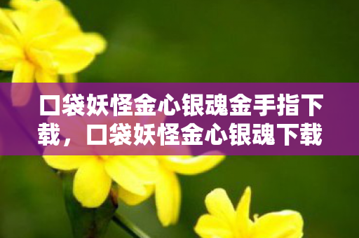 口袋妖怪金心银魂金手指下载，口袋妖怪金心银魂下载攻略及游戏特色解析