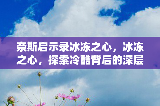 奈斯启示录冰冻之心，冰冻之心，探索冷酷背后的深层意义