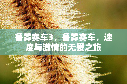 鲁莽赛车3，鲁莽赛车，速度与激情的无畏之旅