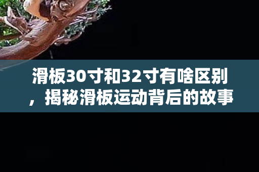 滑板30寸和32寸有啥区别，揭秘滑板运动背后的故事，滑板3的魅力与挑战