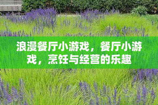 浪漫餐厅小游戏，餐厅小游戏，烹饪与经营的乐趣