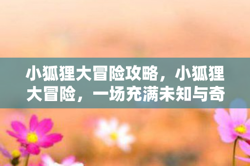 小狐狸大冒险攻略，小狐狸大冒险，一场充满未知与奇遇的旅程