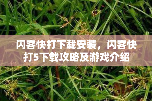 闪客快打下载安装，闪客快打5下载攻略及游戏介绍