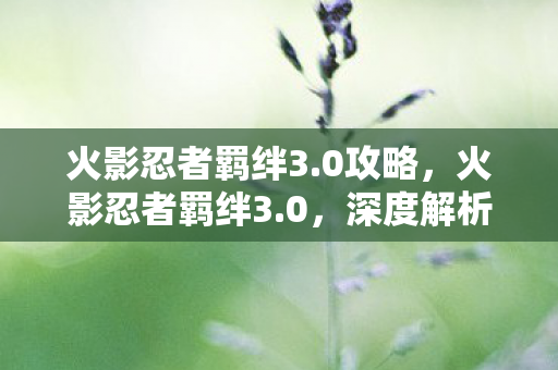 火影忍者羁绊3.0攻略，火影忍者羁绊3.0，深度解析与角色情感探讨