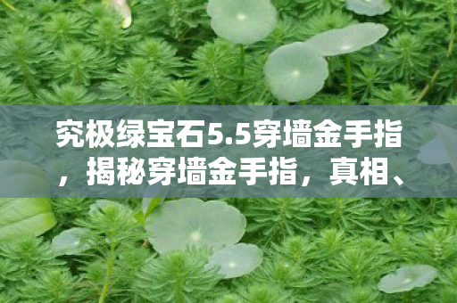 究极绿宝石5.5穿墙金手指，揭秘穿墙金手指，真相、风险与应对之道