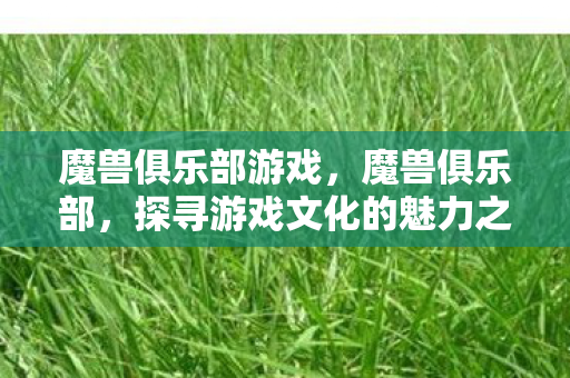 魔兽俱乐部游戏，魔兽俱乐部，探寻游戏文化的魅力之源